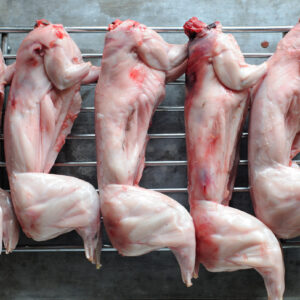 Rabbit Meat