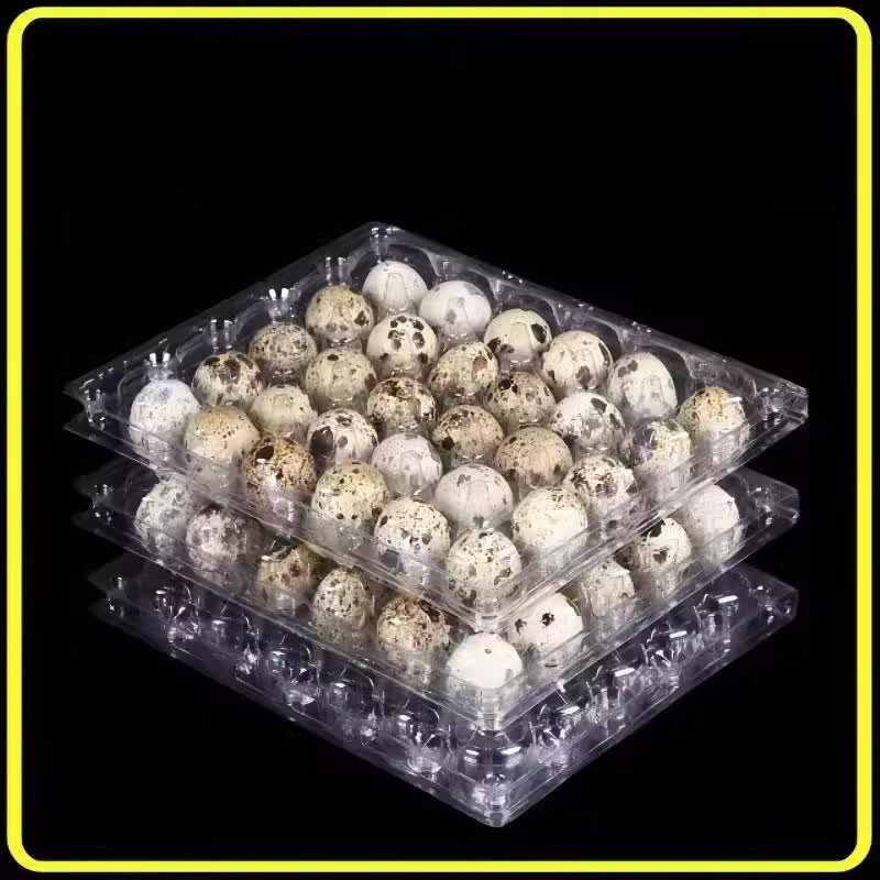 Quail Egg Packaging Box