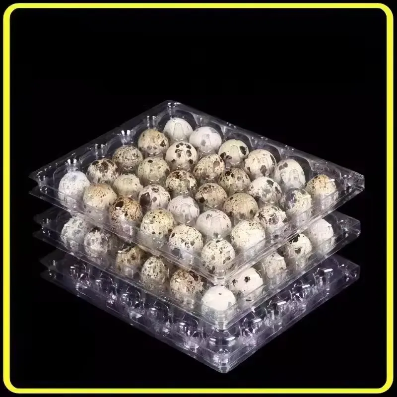 Quail Egg Packaging Box